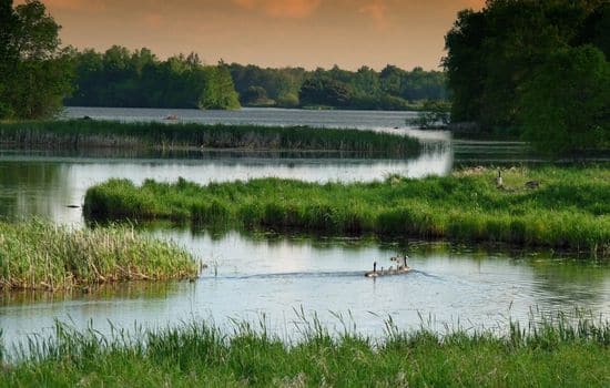 Pantanal o Patrimônio Natural e Reserva da Biosfera Mundial