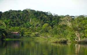 Curiosidades sobre a Amazônia