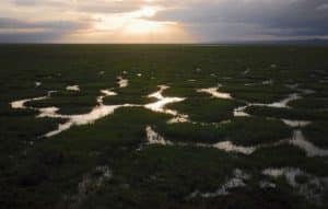 Os mais variados ecossistemas do planeta