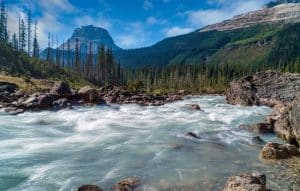 As principais reservas florestais dos Estados Unidos