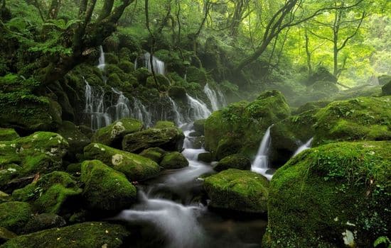 Reservas Naturais do Japão